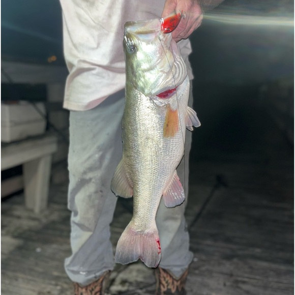 Meet your Poshers, Cass and Ricky! - Picture 4 of 6